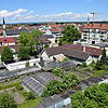 Noch bilden Schuppen, Garagen und Gewächshäuser den größtenteil der Bebauung im Planquadrat Scheffelareal zwischen Hegau- und ...