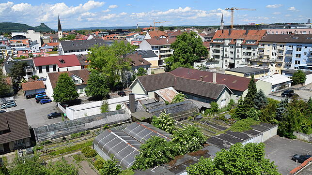 Noch bilden Schuppen, Garagen und Gewächshäuser den größtenteil der Bebauung im Planquadrat Scheffelareal zwischen Hegau- und ...