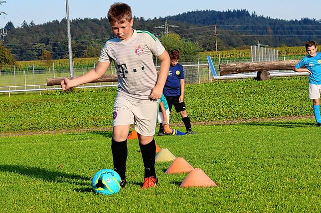 Bild 12: Auch die Jugendfußballer starten in die Saison. Wir haben Bilder vom E-Jugendtraining des SV Allensbach!