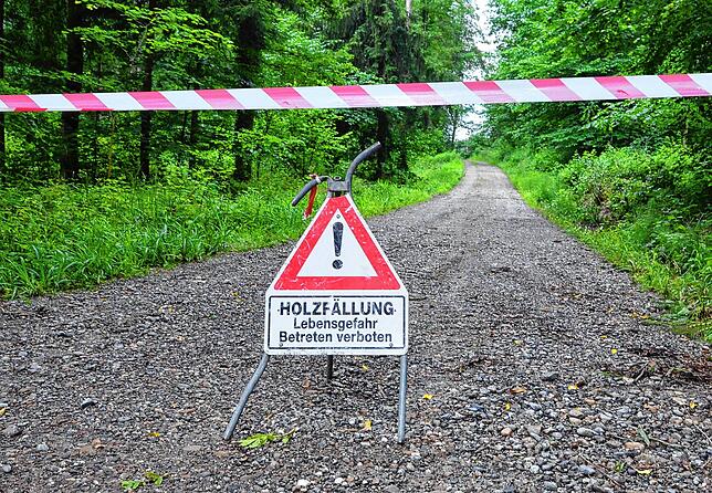 Vorerst mussten Warnschiler aufgestellt werden, die auf Forstarbeiten hinweisen. Schilder, die vor der Rutschungsgefahr warnen, müssen ...