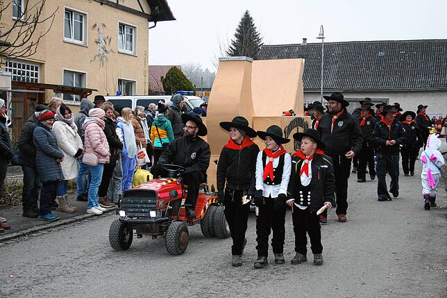 Bild 11: So schön ist das Narrentreffen in Herdwangen