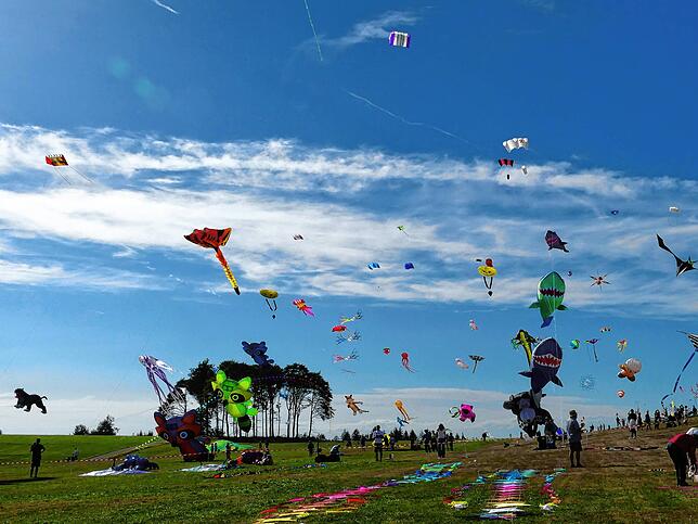 Bild 14: Bilder vom 11. Familien-Drachenfest auf dem Flugplatz in Hütten