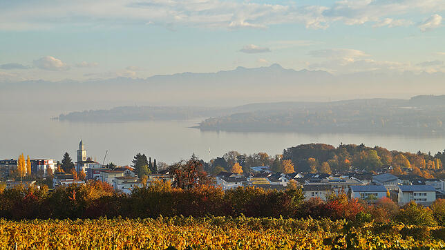 Traumhafter Blick vom Aussichtspunkt bei Aufkirch: Selbst im November hängen die Bäume noch voller Laub.
