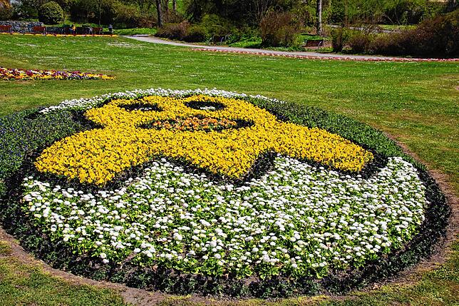 Bild 4: So kunstvoll blüht es in den Beeten: Ein Rundgang durch den Stockacher Stadtgarten