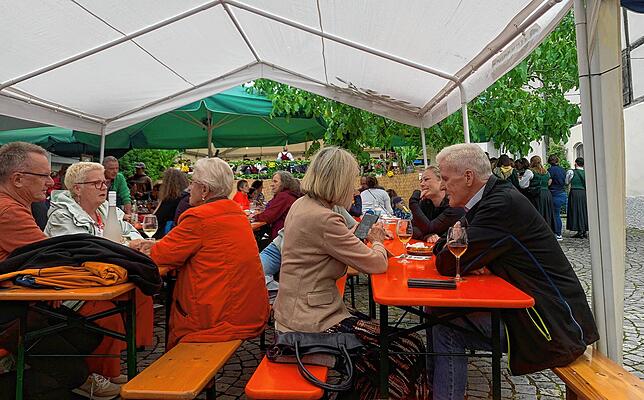 Bild 4: Hier sind die besten Bilder vom Torkelfest in Bermatingen