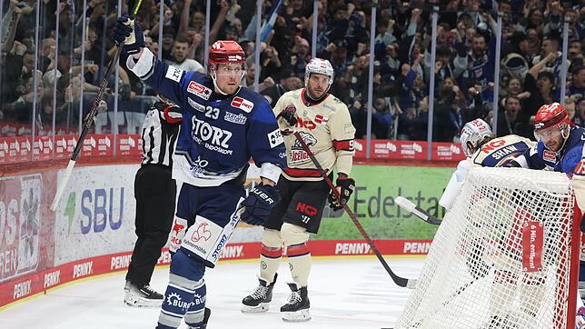 Wild-Wings-Profi Brett Ritchie (links) sorgte gegen die Nürnberg Ice Tigers für einen Doppelpack.