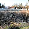 Blick von der Böschung am Uferweg im Markelfinger Winkel: Freie Sicht auf die Kläranlage und die Häuser in der Allensbacher Straße. ...