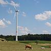 Auf der Gemarkung Hilpensberg sind drei Windräder seit Jahren in Betrieb. Nun sollen vier weitere Anlagen im angrenzenden Wald des ...