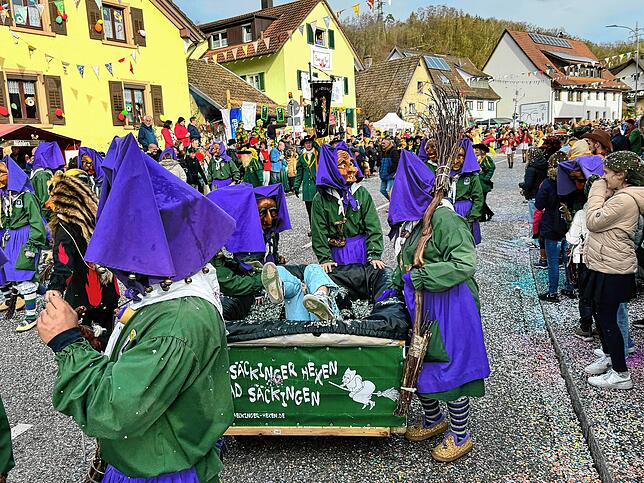 Bild 31: Spaß beim VHN-Narrentreffen: Bilder vom Umzug (1)