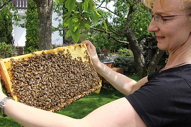Ruhige Bewegungen und innere Ausgeglichenheit sind Voraussetzung, um mit den Bienen arbeiten zu können. Alexandra Gretscher begibt sich ...