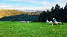 Dem Piloten gelang eine Notlandung auf einer Wiese.