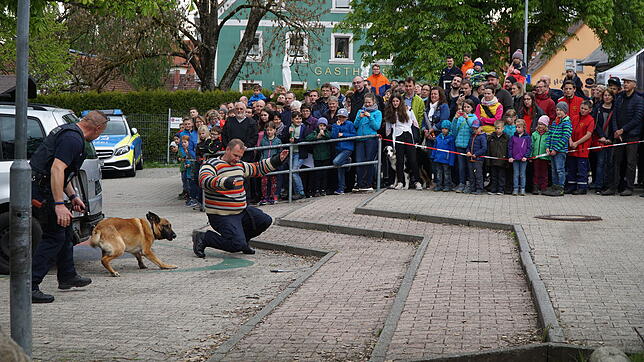 Beim ersten Blaulichttag im Hochschwarzwald locken die Polizeihunde bei ihrem &bdquo;Einsatz&ldquo; viele Schaulustige an. Bild: Gerold ...