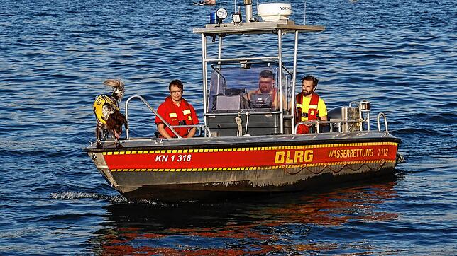 Ein Wasserrettungsboot der DLRG Bodman. (Symbolbild)