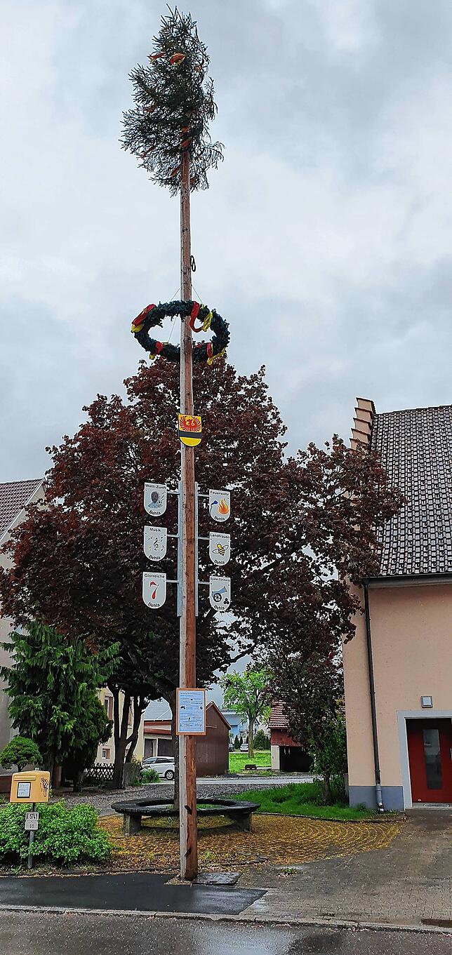 Eine heimliche Gestaltungsidee: Behlas Maibaum 2020.