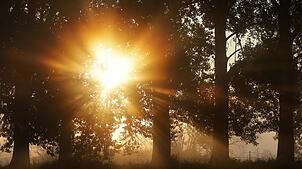 Sonnenschein satt kündigt der Wetterdienst an. (Archivbild)