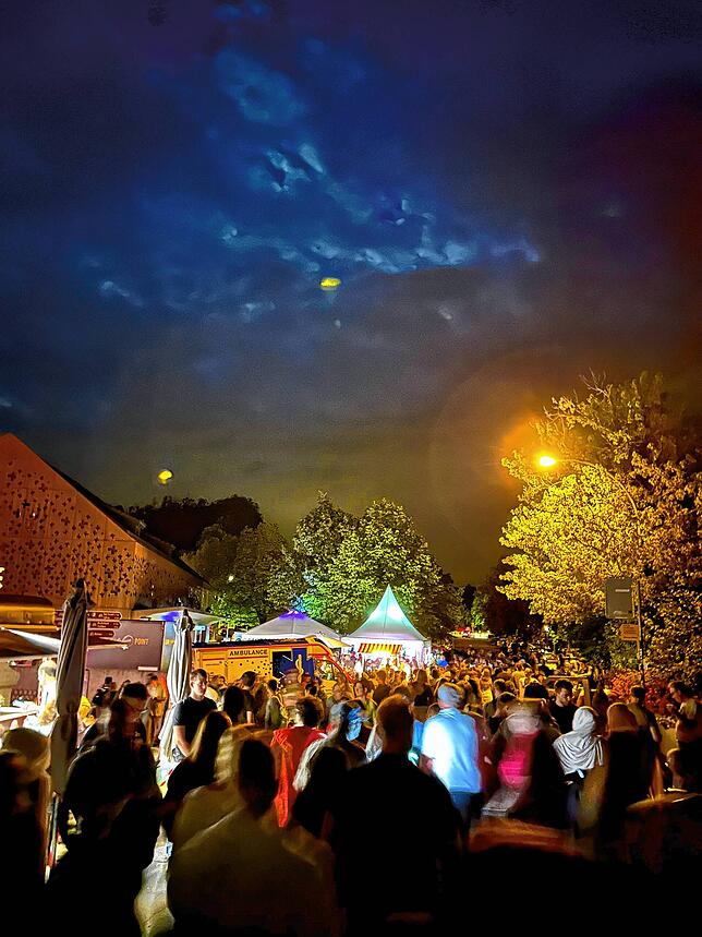 Bild 46: Nationalfeiertag in der Schweiz: Die schönsten Bilder aus Schaffhausen!