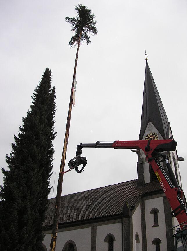Der Greifarm zwackt den Narrenbaum ab.