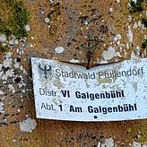 Heute stehen am Galgenbühl Bäume, in früheren Zeiten war hier die Richtstätte mit Galgen.