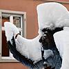 Bild :