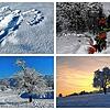 Der Winter zeigt sich am ersten Adventswochenende, 2. und 3. Dezember 2023 von seiner schönsten Seite, wie hier in Horheim, Birkendorf ...