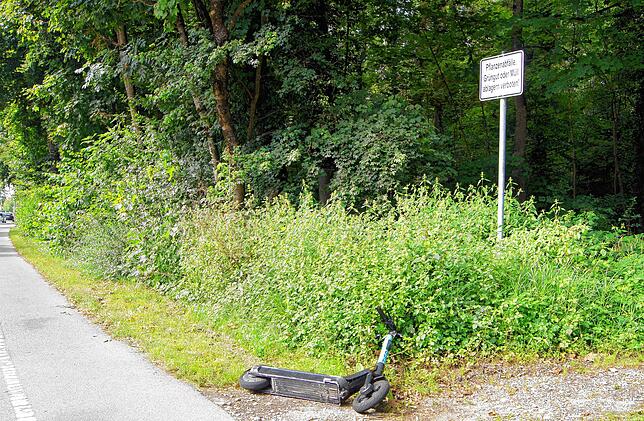 Das mit dem Abstellen der ausleihbaren Elektro-Roller erfordert offensichtlich noch Übung: Dieses Exemplar lag am Dienstagnachmittag am ...