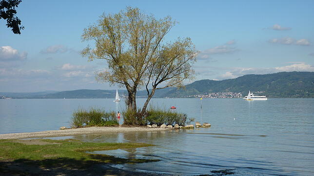 Was für ein Blick! Am Campingplatz Klausenhorn in Konstanz-Dingelsdorf.