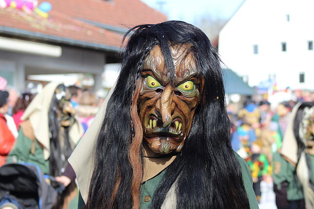 Bild 13: Strahlendes Wetter und glückselige Narren in Ühlingen. Wir haben alle Bilder (2)