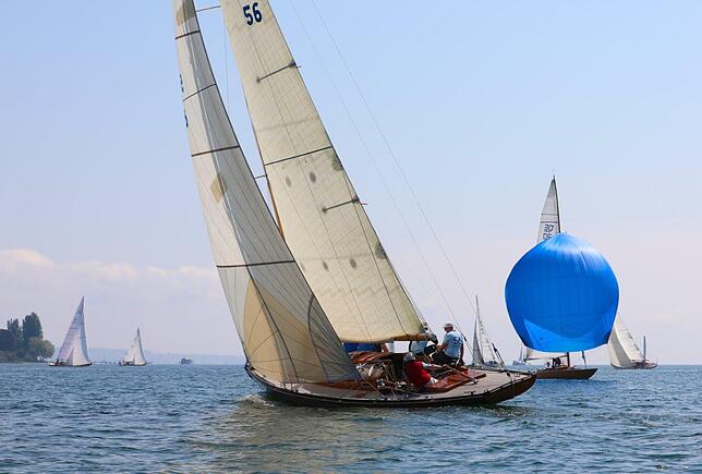 Bild 3: Bilderstory: Die Bodenseewoche am Sonntag