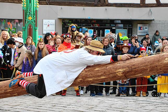 Ein Vumesser macht es sich auf dem Narrenbaum bequem