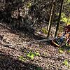 Allensbacher Feuerwehrleute sowie Höhenrettungsgruppe eilen Tier und Mensch nach dem Absturz am Steilhang zu Hilfe. Hier wird der Hund ...