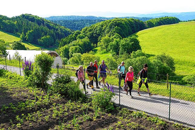 Bild 13: 180 Teilnehmer beim 42-Kilometer-Wandermarathon: Das sind die Bilder
