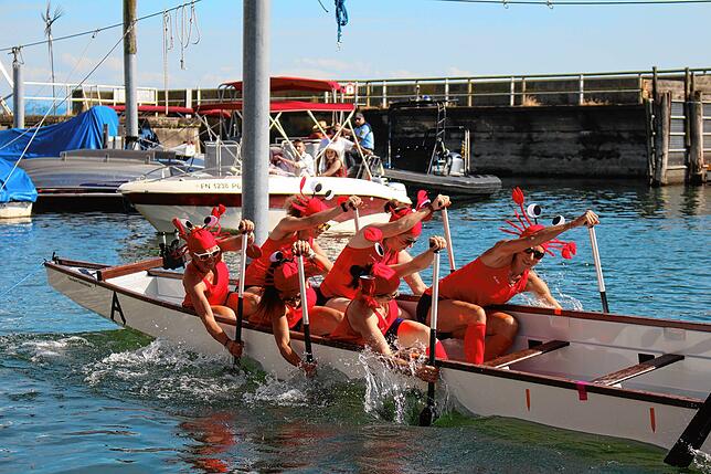 Bild 3: Die besten Bilder vom Drachenboot-Cup beim Seehasenfest (2)