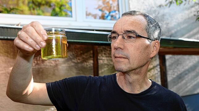 Gregor Schmitz, Biologe der Universität Konstanz, hat in seinem Garten eine Mückenlarve entdeckt und lässt sie im Glas schlüpfen.