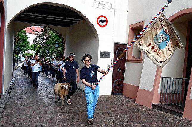 Auf dem Weg zur Taufe: Der Chilbibock an der Leine des Junggesellen und 2. Ladenmeisters Jonathan Möller marschiert zu Klängen der ...