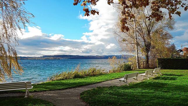 Der Fläche am See, wo jedes Jahr das Nußdorfer Uferfest stattfindet, soll künftig Martin-Walser-Park heißen.