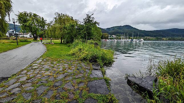 Ungewohnter Anblick: In Ludwigshafen steigt das Wasser am Schlösslepark sehr stark an.