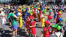 Bild : Bilder vom Seehasen-Jubiläumsfestzug