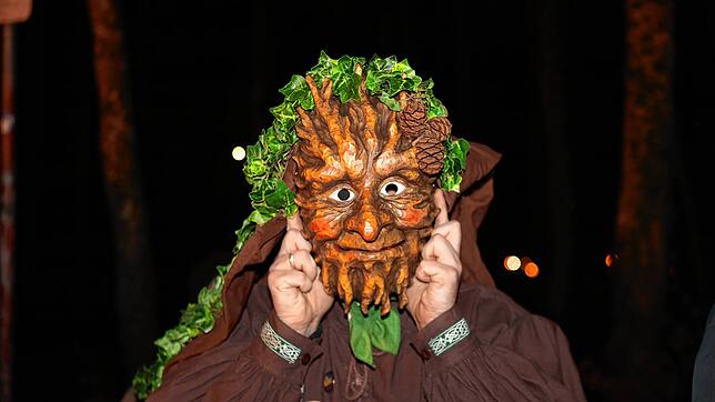 Bild 1: Konstanzer Fasnacht: Bilder vom Fackelumzug durch den Uniwald