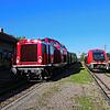 Am Bahnhof Blumberg-Zollhaus: Die Regionalbahn aus Waldshut (rechts) und der Museumszug der Wutachtalbahn (links) begegnen sich.