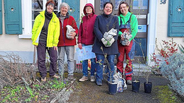 Sie gärtnern naturnah (von links): Angelika Kohler, Sybille Möbius, Doris Radau, Karin Leyhe-Schröpfer und Candida ten Brink. Bild: ...