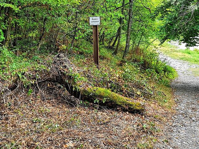 Die Gemeinde Küssaberg hat sich mittlerweile darum gekümmert, das Schild wieder etwas sichtbarer zu machen. Bild vom 18. August 2022