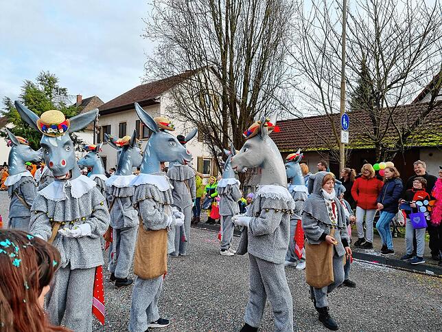 Bild 4: Spaß beim VHN-Narrentreffen: Bilder vom Umzug (1)