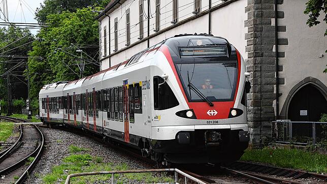 Ein Seehas fährt in Konstanz ein.