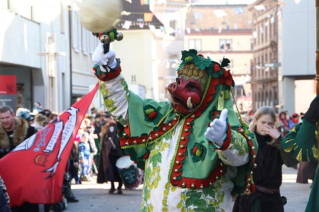 Bild 18: Die schönsten Bilder vom VSAN Narrentreffen (Teil 2)