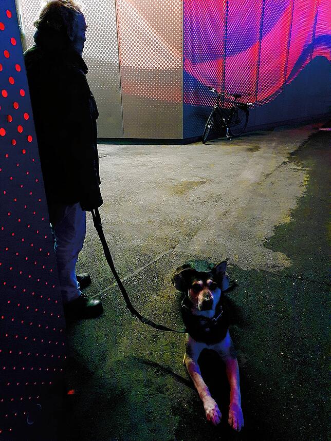 Der Obdachlose spricht im Gemeinderat vor den Stadträten und Uli Burchardt.