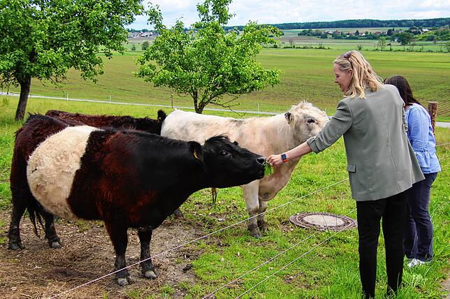 Die Galloway-Rinder, die Ministerin Walker füttert, werden künftig das Kiebitz-Areal abweiden, um so für den Bodenbrüter den Bewuchs ...