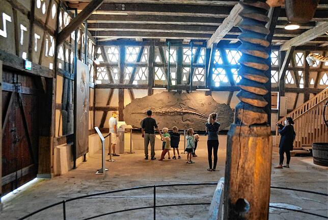 Die alte Schlosstorkel bietet einen historischen Rahmen für die Exponate aus der Urwelt. Rechts vorne ist ein Teil der historischen ...
