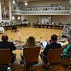 Der Singener Gemeinderat wird sich personell verändern. Ein AfD-Stadtrat legt sein Amt am Dienstag nieder.