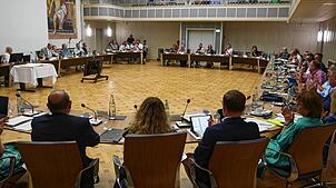 Der Singener Gemeinderat wird sich personell verändern. Ein AfD-Stadtrat legt sein Amt am Dienstag nieder.