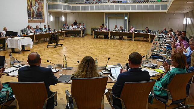 Der Singener Gemeinderat wird sich personell verändern. Ein AfD-Stadtrat legt sein Amt am Dienstag nieder.